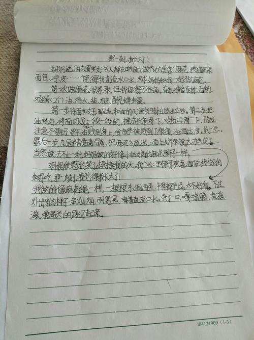 那一刻,我长大了作文600字（《那一刻我长大了》）