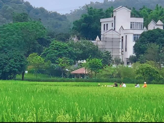 错过的风景作文800记叙文（《一场错过的风景》）