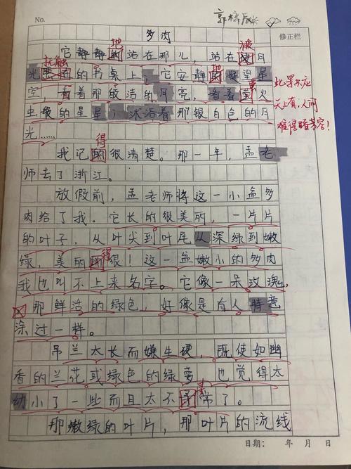 有关我的心爱之物的作文500字（《弹响岁月记忆，唤起心底温情》）