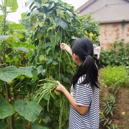 关于精彩的生活的作文（《一段精彩的生命之旅》）