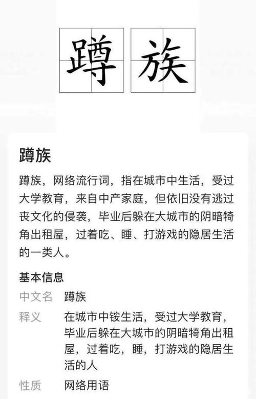 我努力读懂父母作文开头结尾（《我努力读懂父母》）