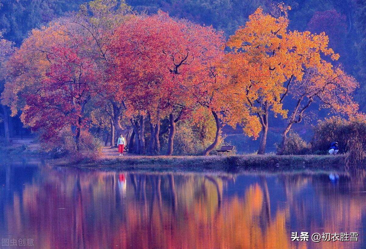 晚秋乌桕七首优美古诗（乌桕千株照眼红，始知秋叶胜秋花）