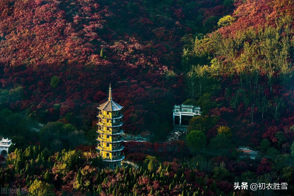 红树明丽风光七首古诗词（红树秋山近，黄华夕露深）