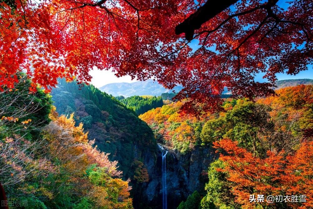 红树明丽风光七首古诗词（红树秋山近，黄华夕露深）