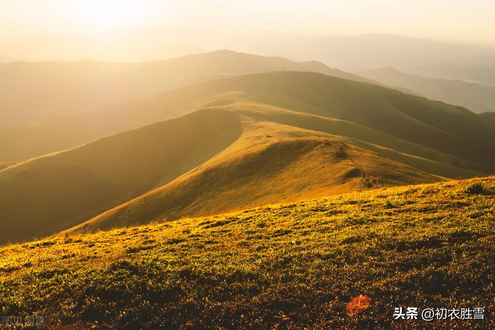 明丽秋色古诗六首推荐（南山与秋色，气势两相高）