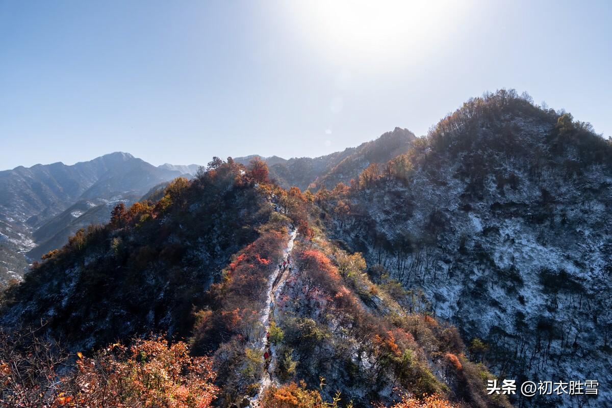 明丽秋色古诗六首推荐（南山与秋色，气势两相高）