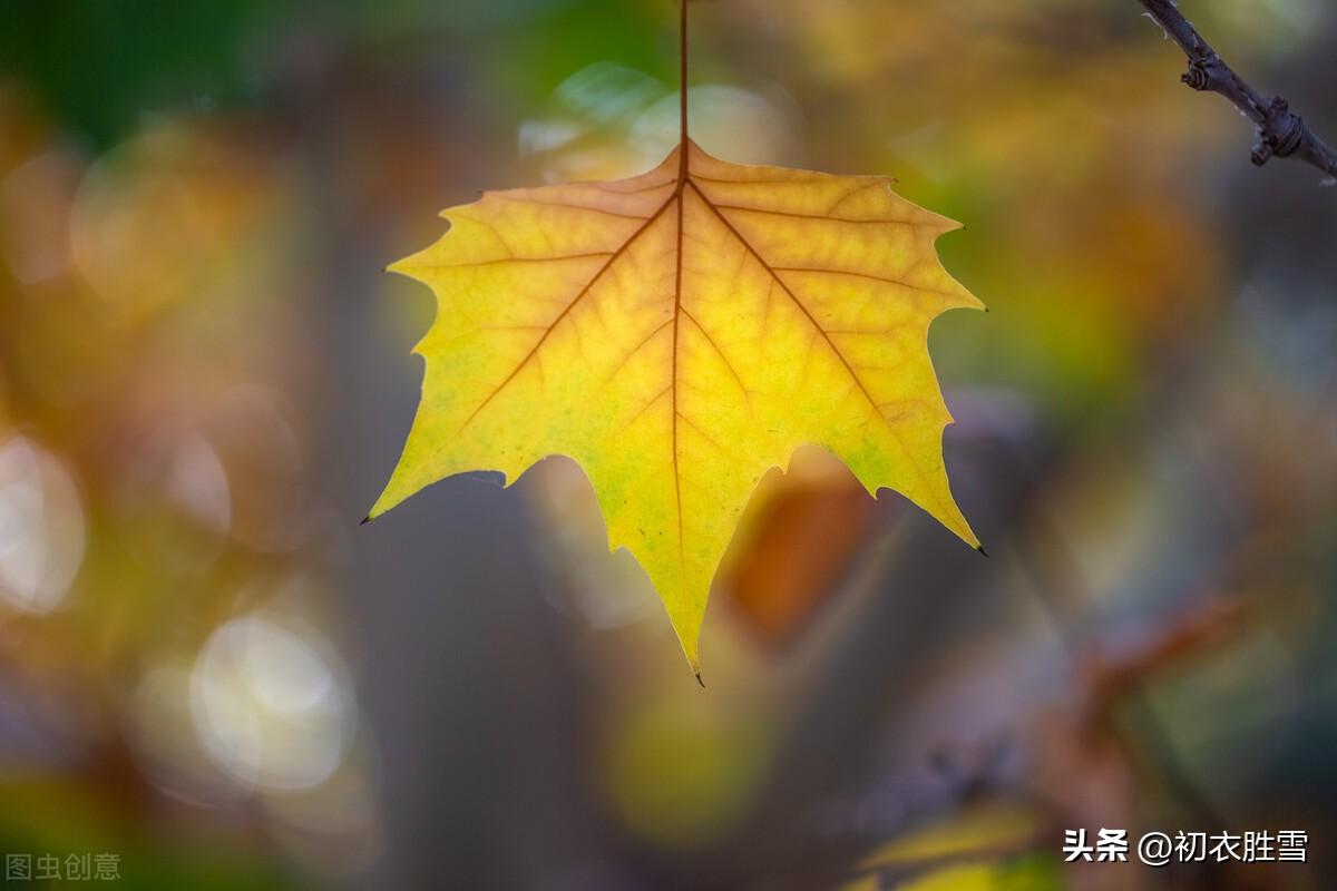 农历七月诗词五首（七月新秋风露早，七夕来时先有期）