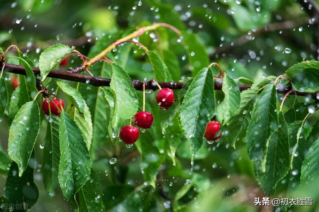 初夏江南四月七首古诗词（四月江南烟雨阔，人家都在绿荫中）