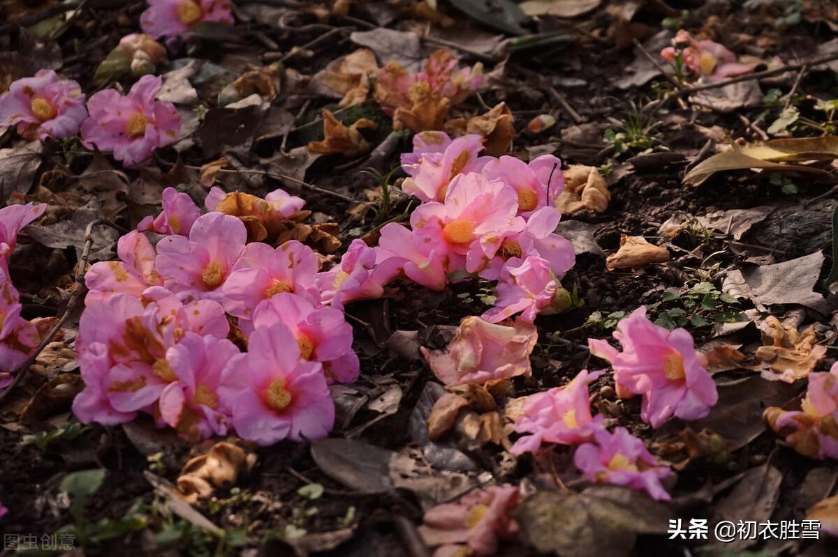 晚春晦日送春古诗七首推荐（芳菲歇去何须恨，夏木阴阴正可人）