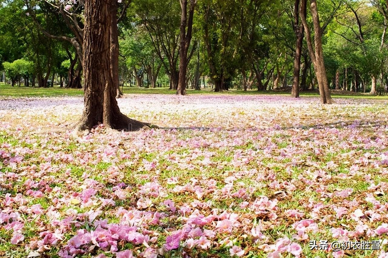 晚春晦日送春古诗七首推荐（芳菲歇去何须恨，夏木阴阴正可人）