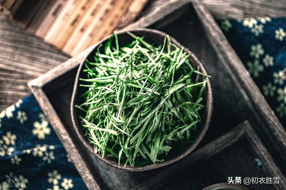 谷雨节气古诗词六首（谷雨晴时正摘茶，茶户初收谷雨芽）