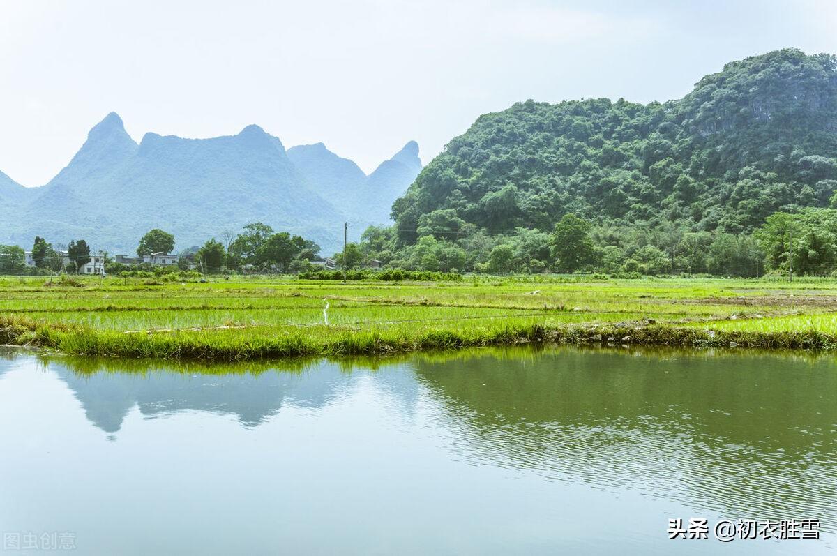 暮春三月明丽五首绝句诗词（春风三月正花好，满架蔷薇带露鲜）