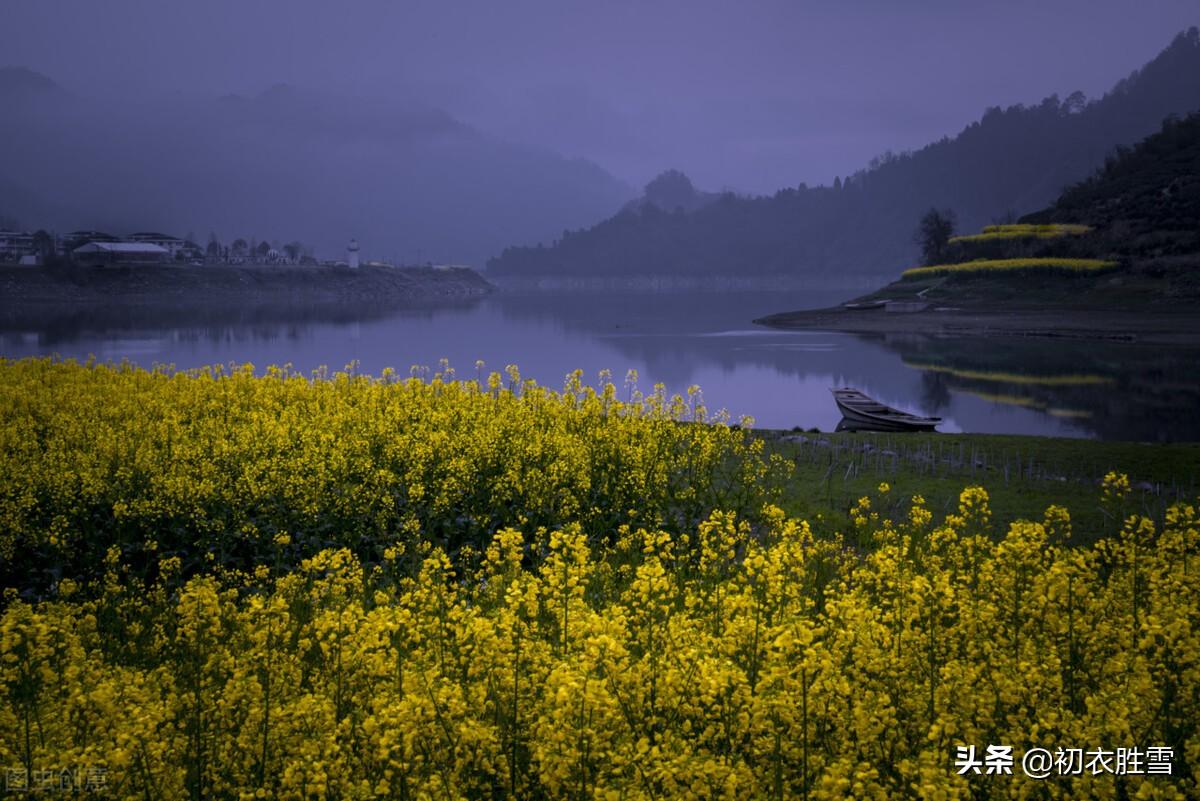 春分节气五首优美古诗（谁把春光，平分一半）