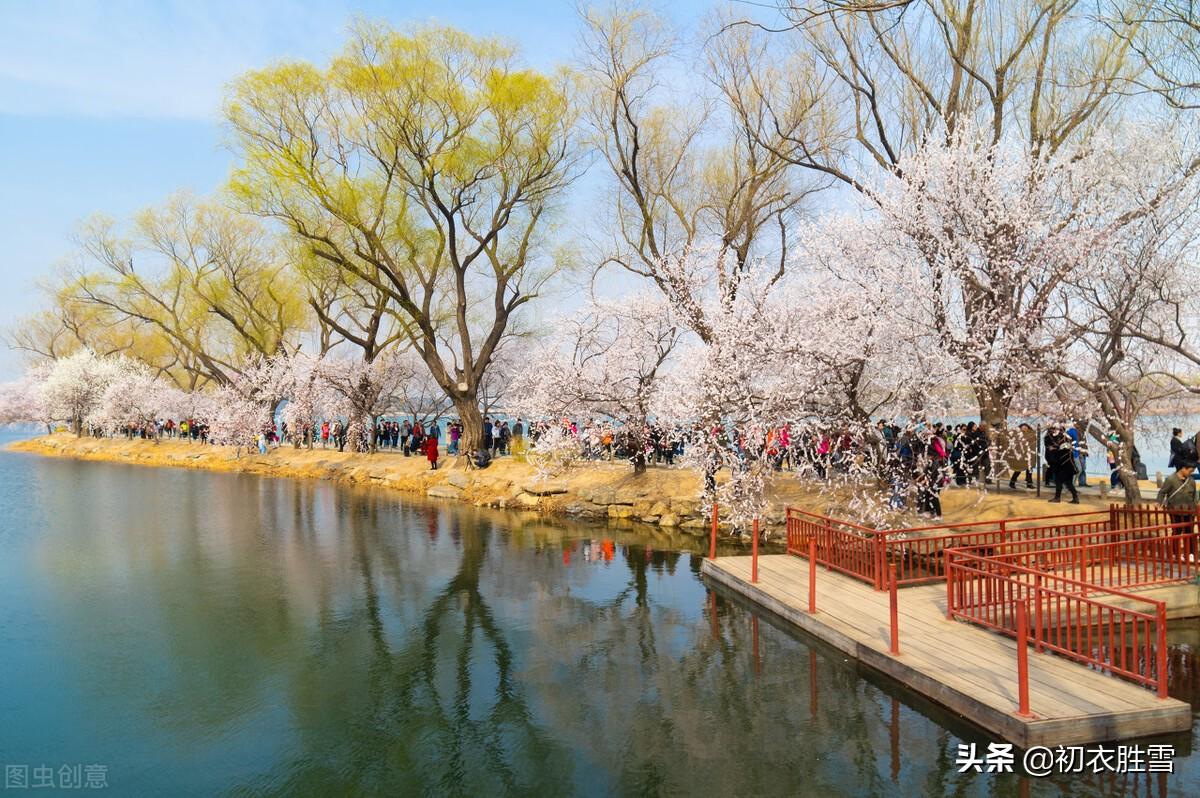 花朝节六首诗词古诗（莺花世界春方半，明朝相约看花来）