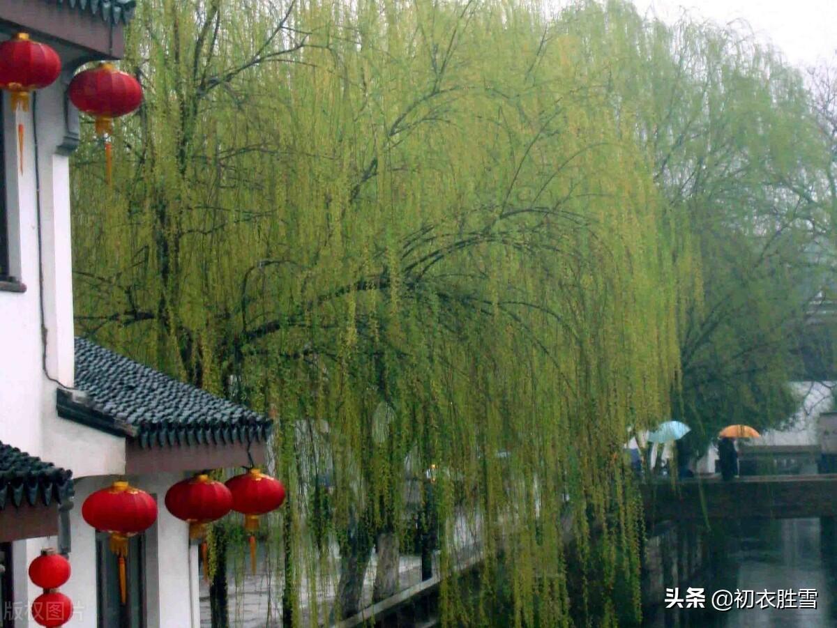 早春春雨五首优美古诗词（隔帘春雨细，莺声细雨中）