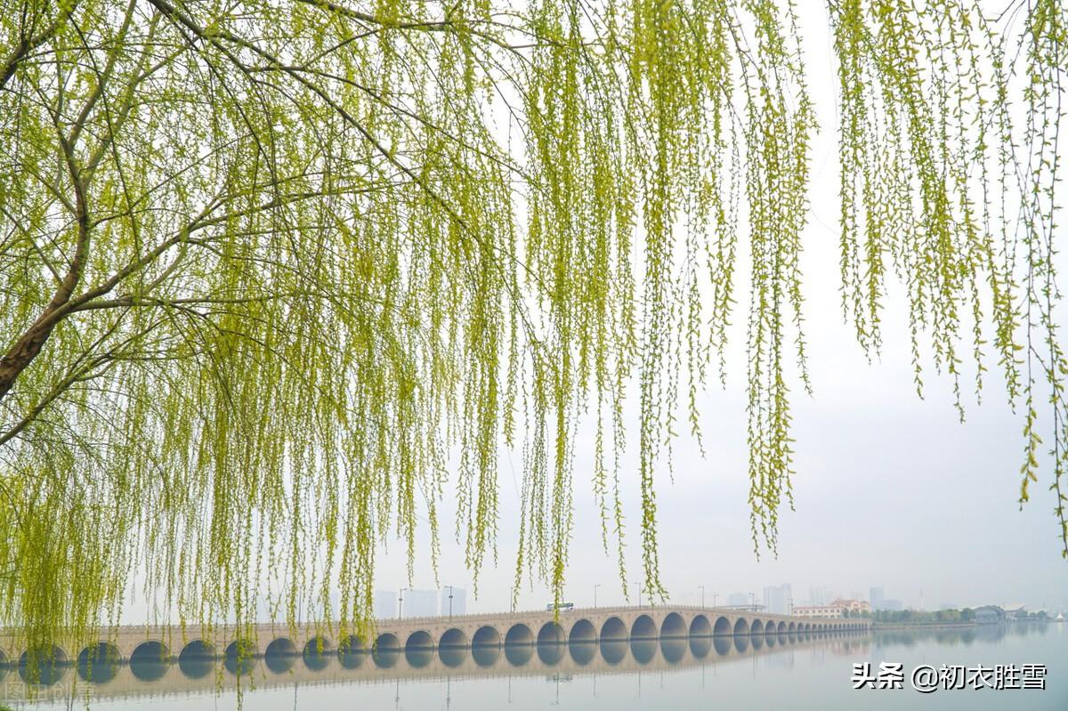 早春人日清新六首古诗（满地茸茸百草芽，又得红梅两树花）