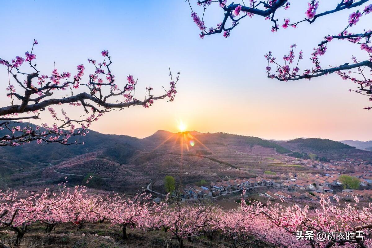 仲春二月桃花五首唯美古诗（山头桃花红入天，只爱桃花二月红）