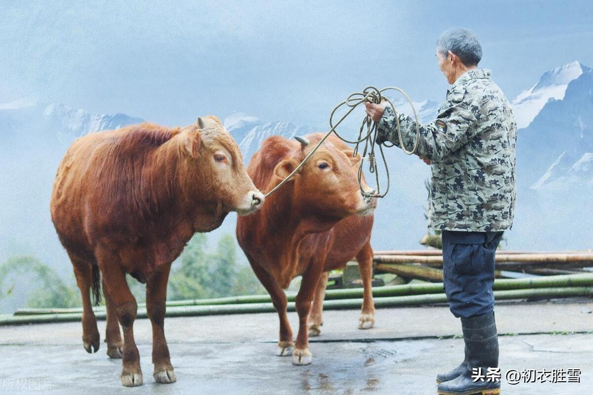 早春春耕五首诗词（百室秋成在早春，陇头多少戴星人）