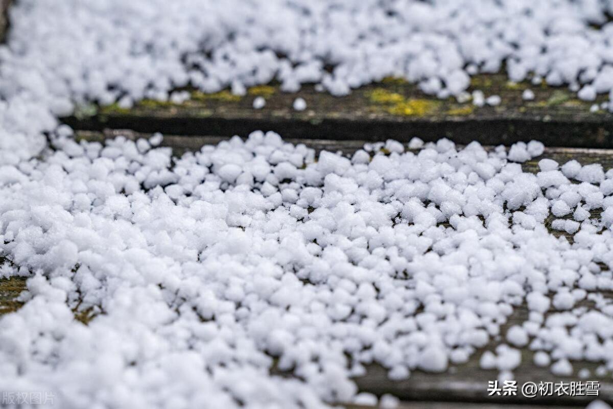 雪霰古诗五首赏析（朔风洒霰雨，风霰暗纷纷）