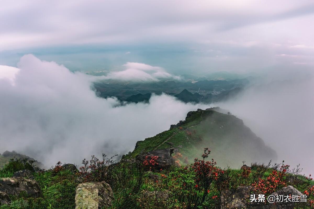 春风七首古诗词（春风扇微和，春风起春树）