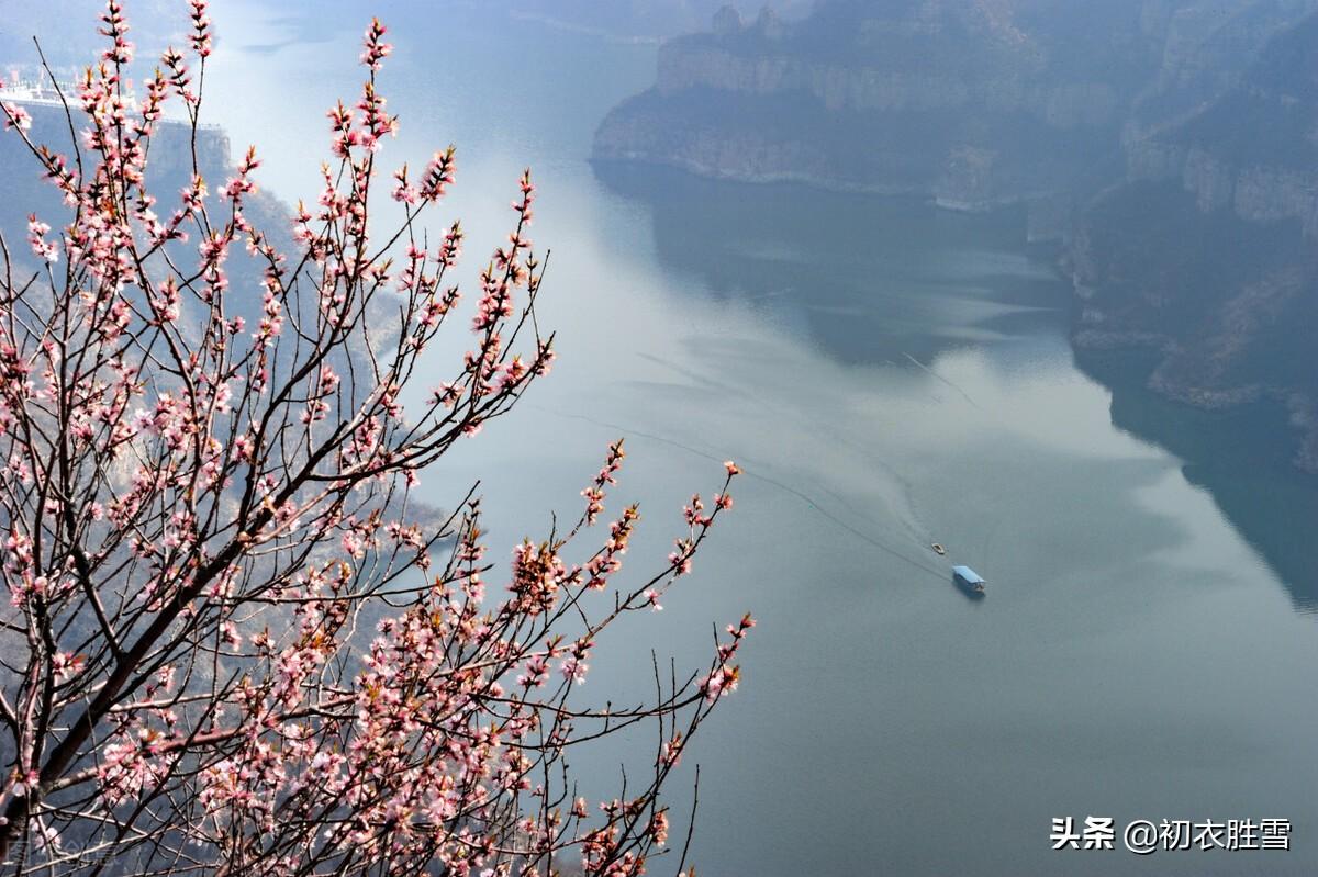 感怀哲理古诗词六首赏析（年年仍岁岁，故故复新新）