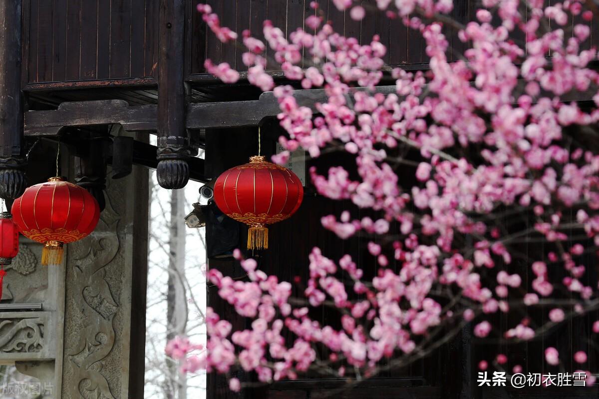 岁暮八首唯美古诗（梅花前村后村发，万树梅花刺眼新）