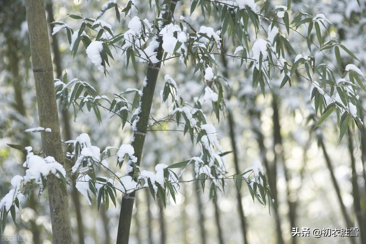 大寒节气古诗六首（大寒松竹更萧骚，雪后大寒见老松）