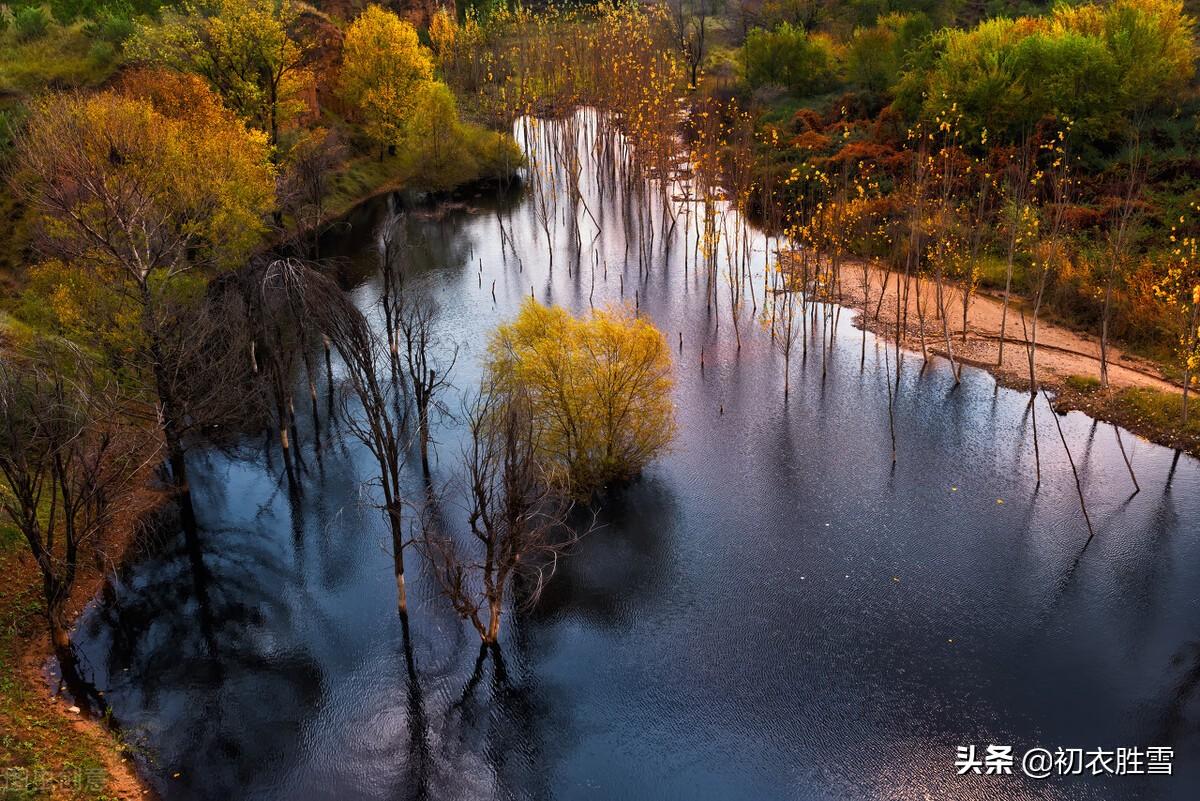 霜降节气四首诗词（霜降水痕收，浅碧鳞鳞露远洲）