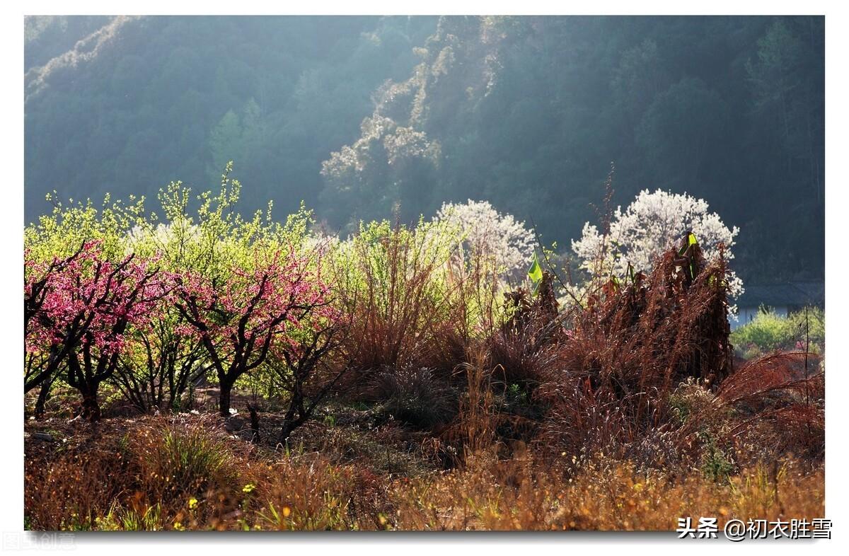 辛弃疾仲春唯美古诗（故园桃李，待君花发）