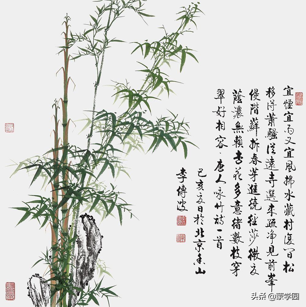 五月知竹，人生知足（经典50首咏竹诗词）