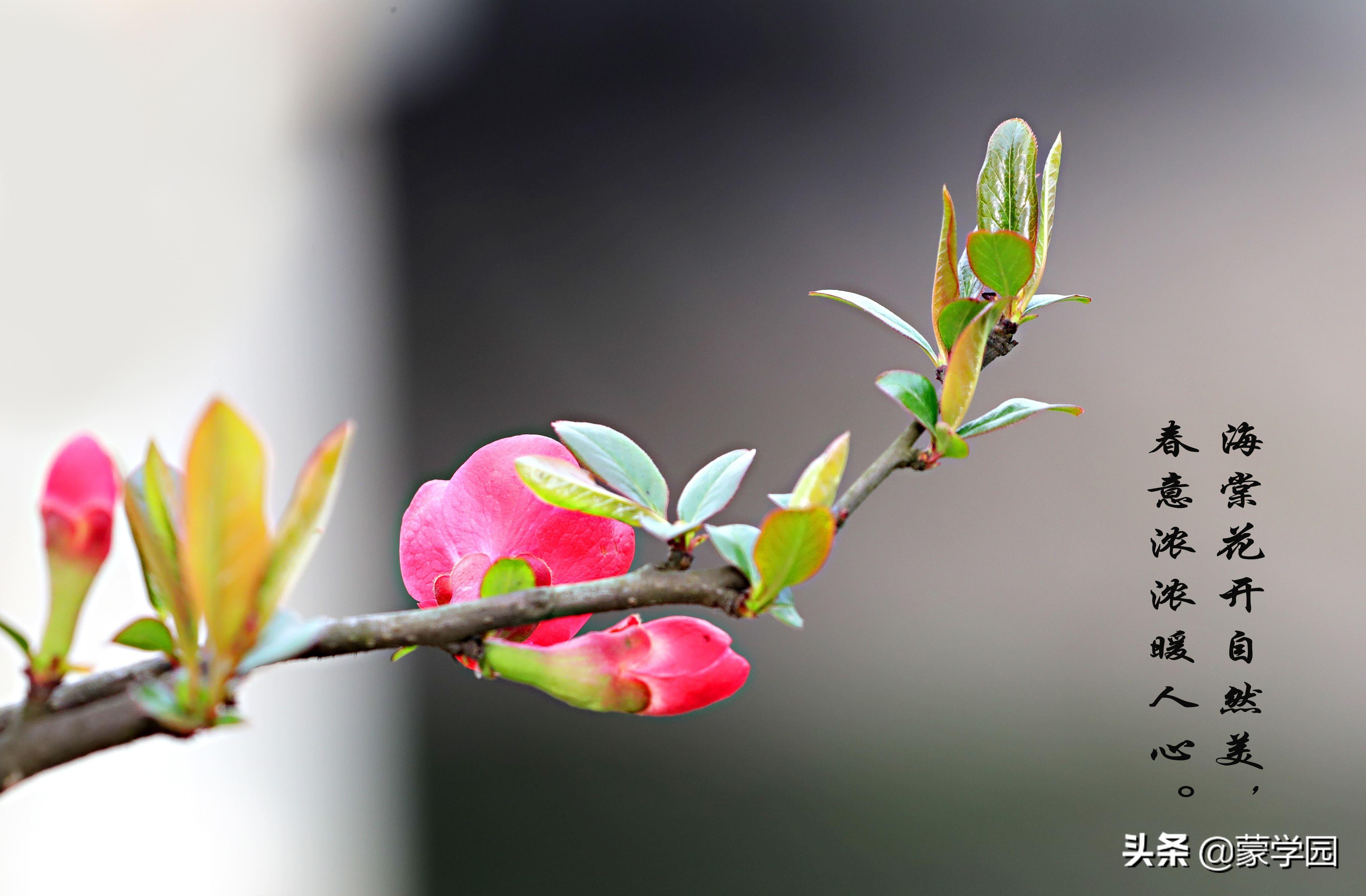 三月花经典古诗有哪些（30首有关三月的古诗词）