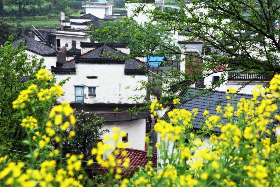 历经千帆，冬已靠岸（100首春日诗词唯美）