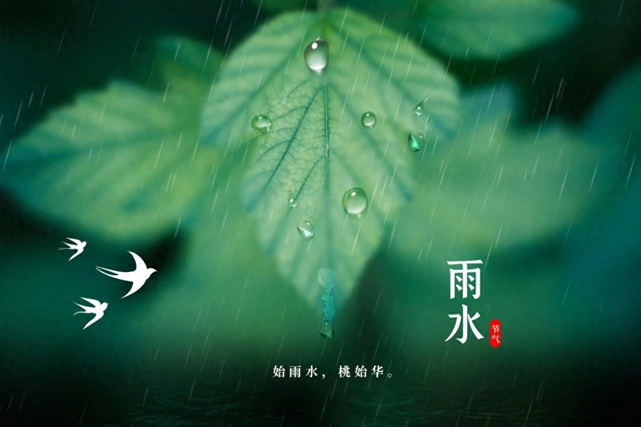 春雨经典古诗大全（70首春雨诗词唯美）