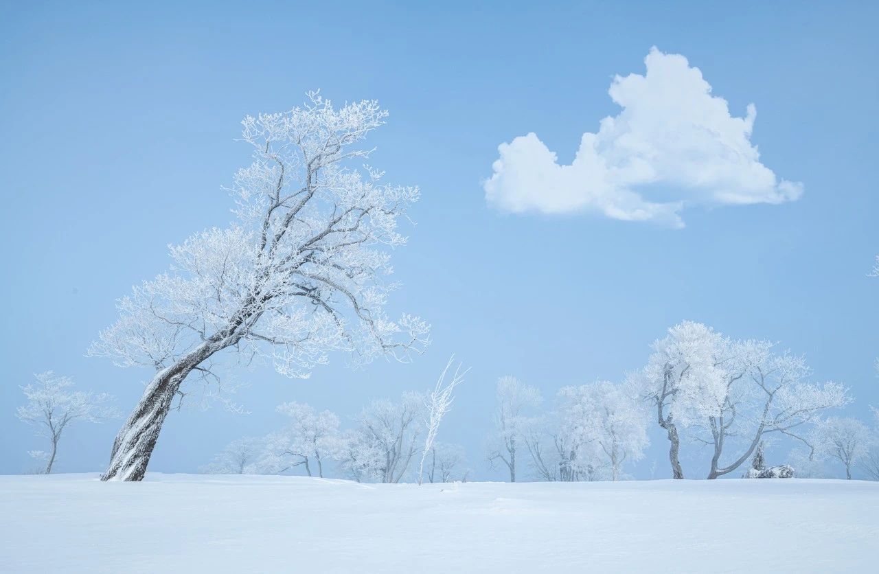 飞雪漫天，寒梅独放（35首大寒诗词著名）