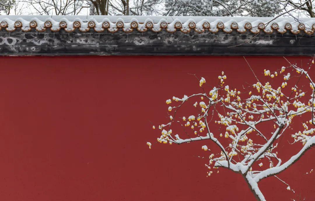 柳絮风起，枝头花开（10首咏雪诗词唯美）