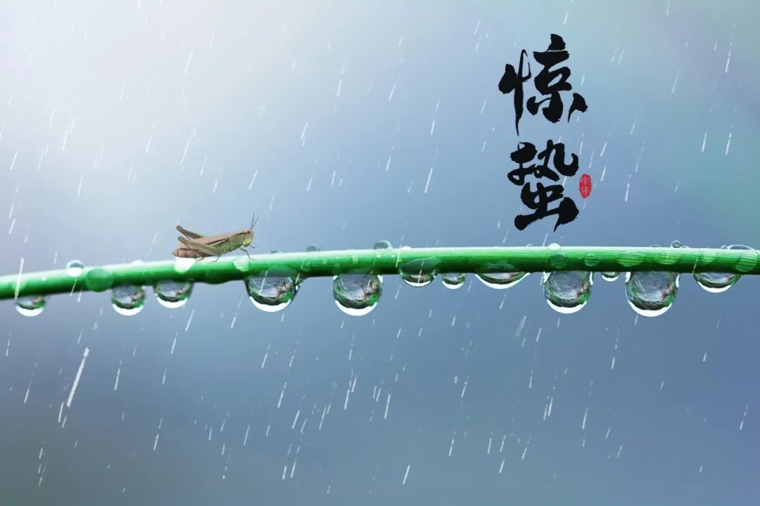 轻雷一声，微雨落梅（10首惊蛰诗词优美）