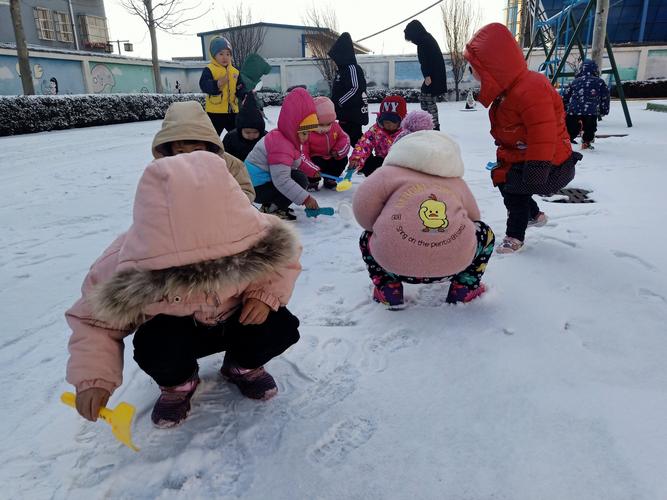 冬天里的第一场雪作文600字2024年（《冬天里的第一场雪》）