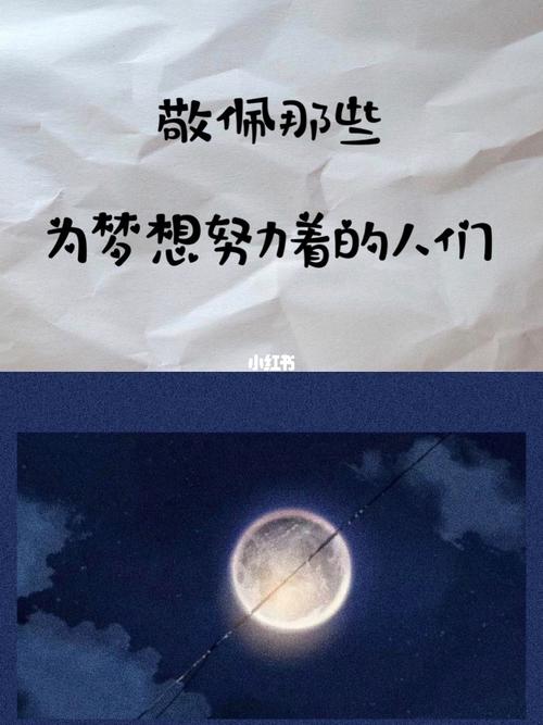 为梦想而努力的作文例子（《梦想的力量——一个青年的奋斗史》）