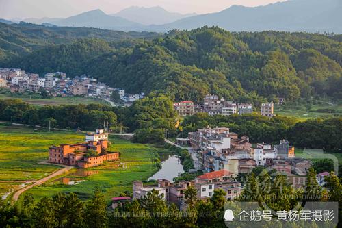 身边的风景话题作文（《一场奇遇》）