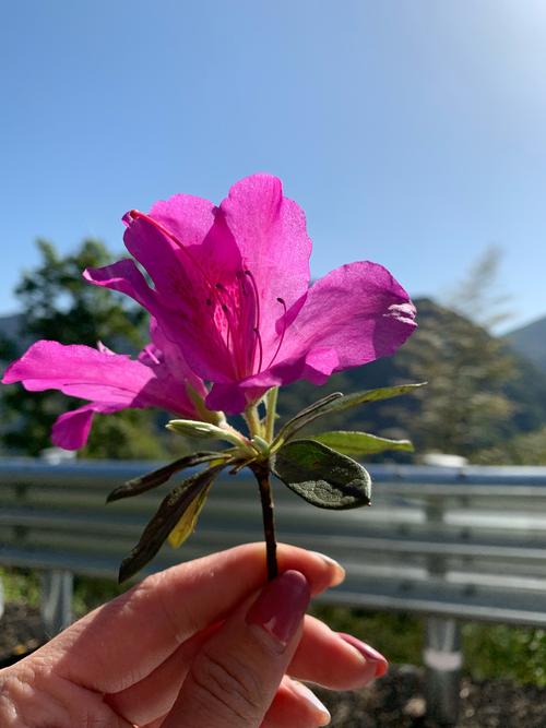 心里美滋滋作文怎么写（《遇见你，我再度拥有了幸福》）