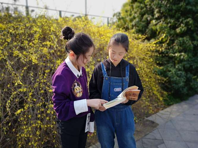 一路书香一路快乐作文（《老师的陪伴，书香之路》）