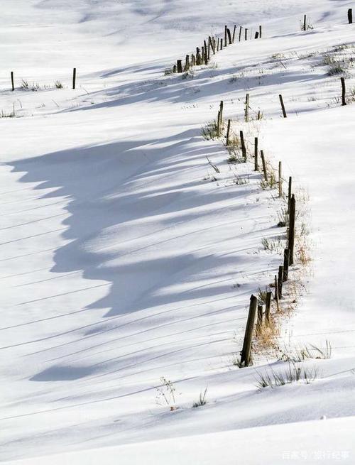 美丽的雪景优秀作文（《白色童话》）