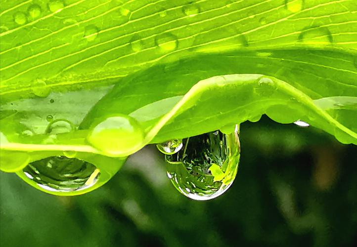 写一篇以雨为题的作文（《雨中离别》）