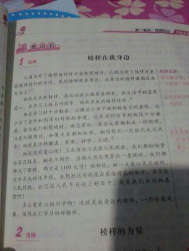 有关我的榜样的作文800字（《我的榜样——一位坚韧不屈的女性创业家》）