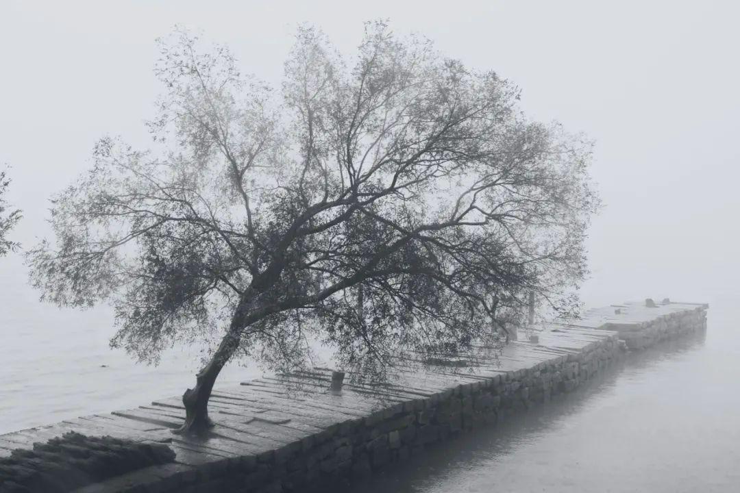 踏雪寻梅，寒夜煮茶（冬日优美的10个古诗词）