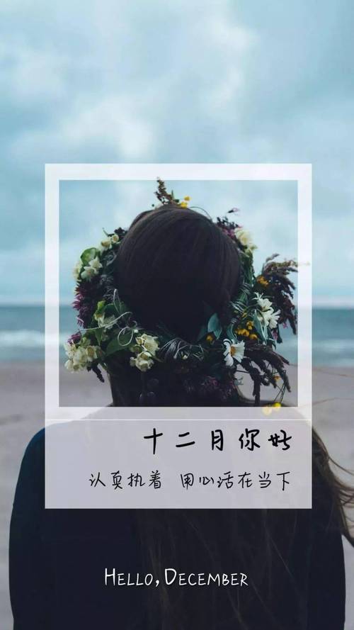 关于十一月的心情说说（秋意渐浓，心灵留香）