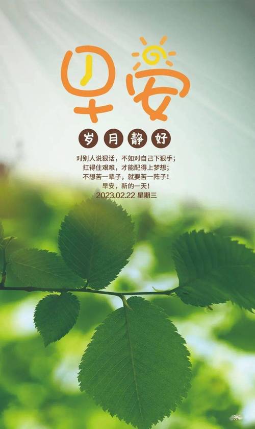 女人奋斗早安语录（毅力与坚韧，创造无限可能）