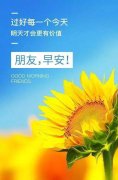 二零二零年最后一天的说说（岁月的礼赞——以2024年最后一天朋友圈励志语录为主题的唯美短句）