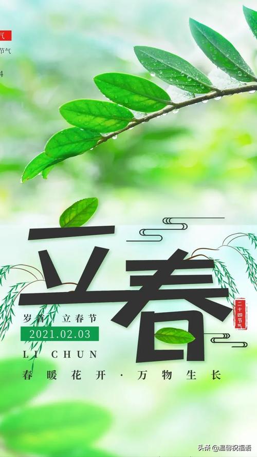 立春唯美说说短句（春分时节，花开满园）