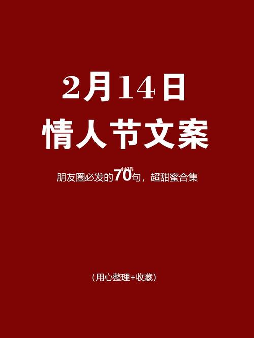 有关适合情人节发的朋友圈好句的句子有哪些（倾诉心声，让爱在情人节绽放）